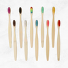 Premium Natural Bamboo Charcoal Toothbrush Pack (10 brushes) – 100% Biodegradable, Eco-Friendly, and Sustainable